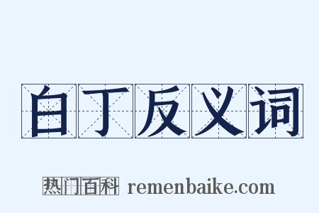 白丁反义词是什么意思的图片